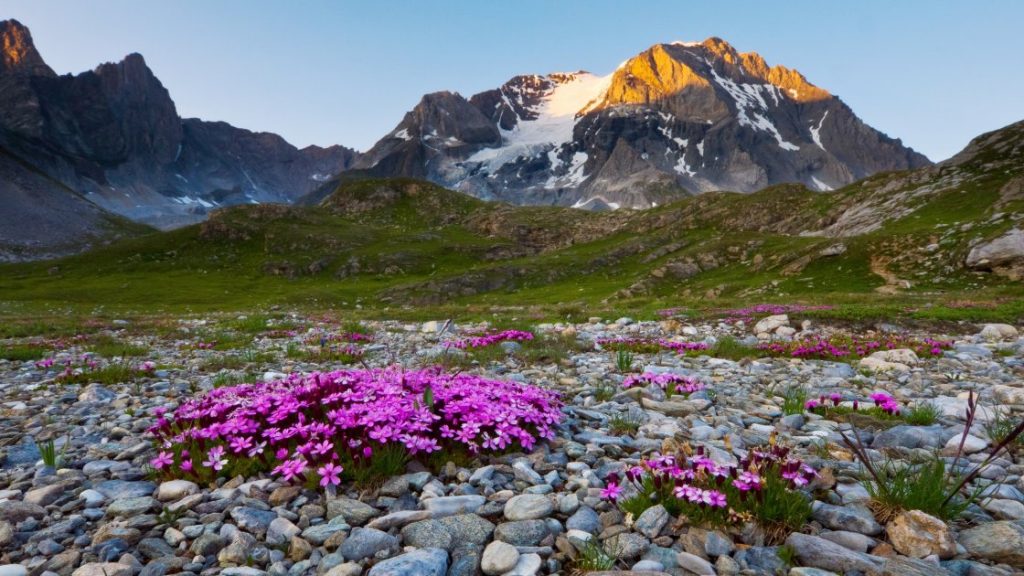 Grand Randonne trekking route.