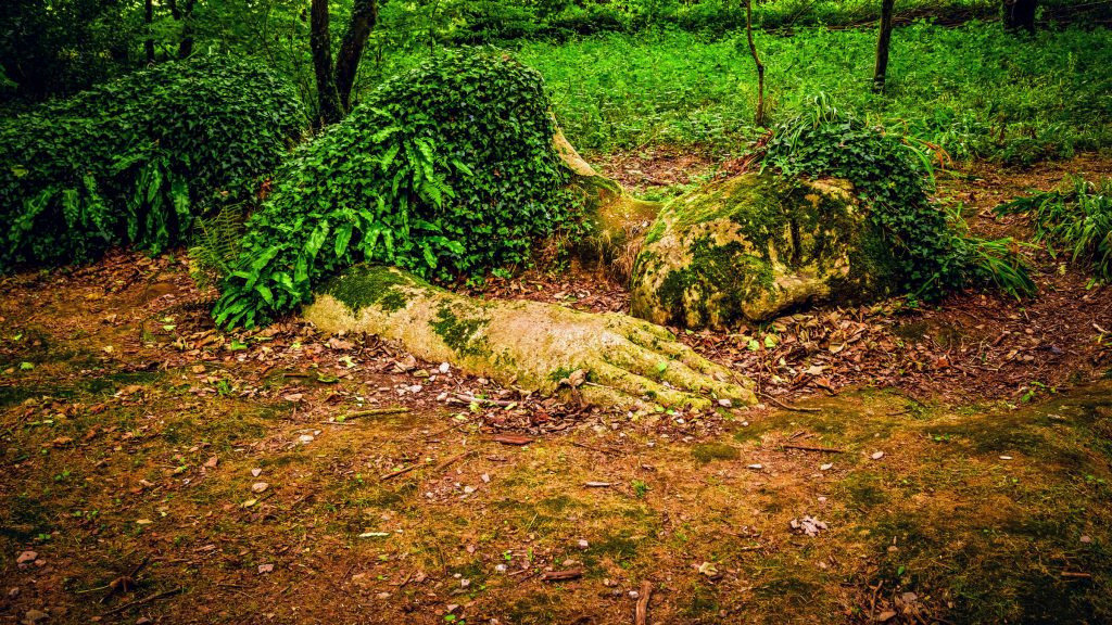 Los Jardines Perdidos de Heligan son un hito natural en el Reino Unido.