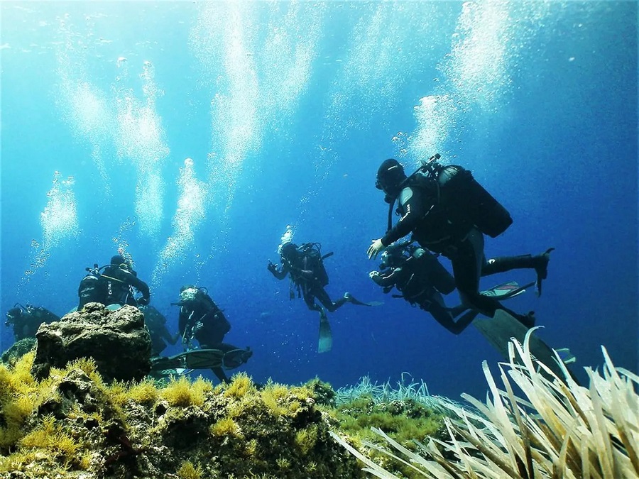 soothing depths of diving