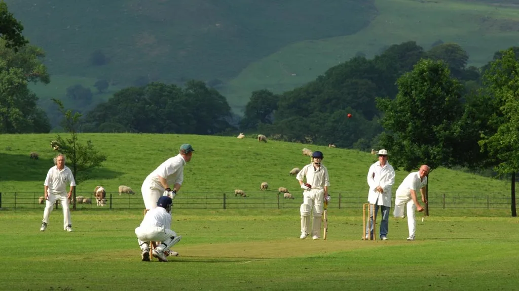 playing cricket for recreation